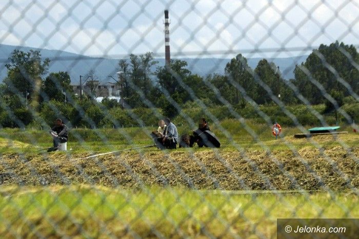 JELENIA GÓRA: Na rybki w zbiornikach wody pitnej