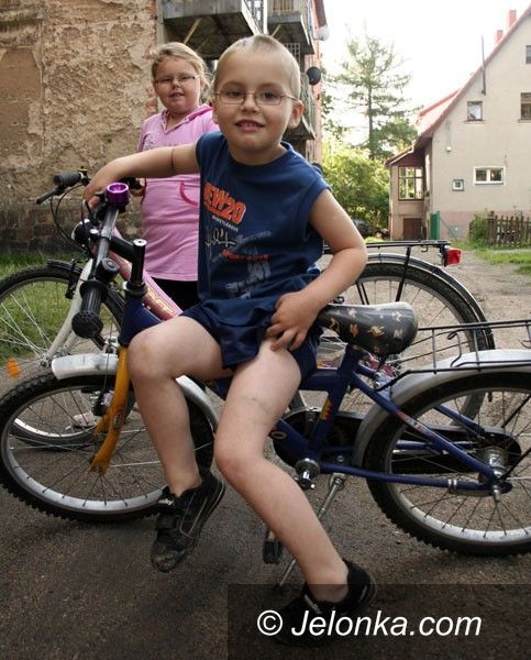 JELENIA GÓRA: Bestia szarpie dzieci