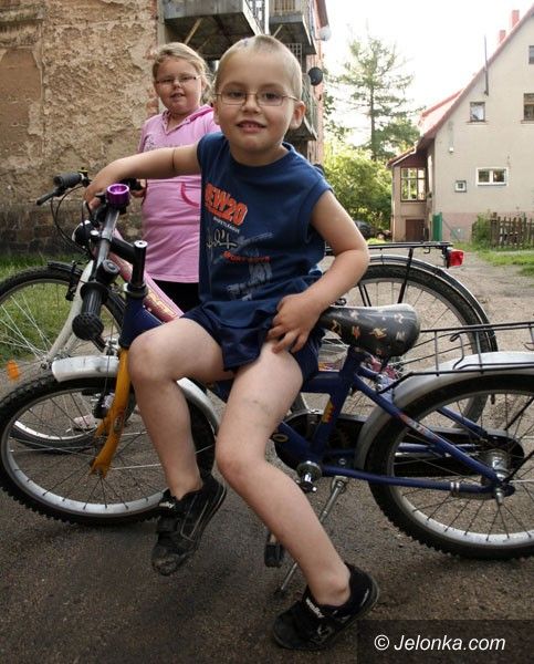 JELENIA GÓRA: Bestia szarpie dzieci
