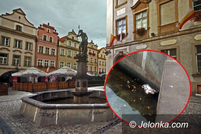 JELENIA GÓRA: Fontanna pełna brudów