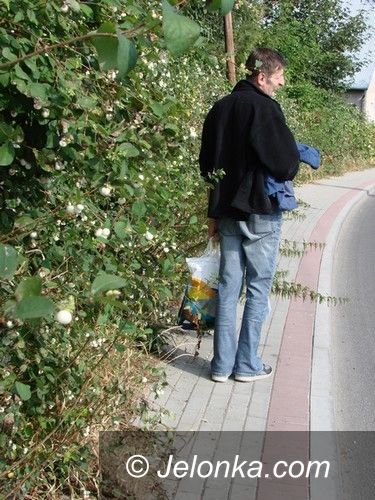 JELENIA GÓRA: Brak kasy na kosy