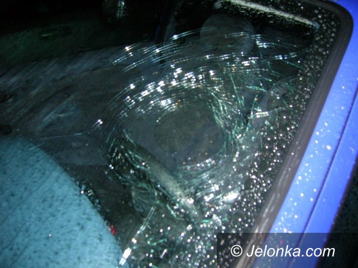 JELENIA GÓRA: Zabobrzańska demolka bez powodu