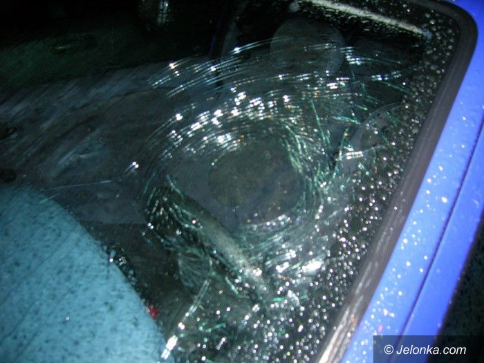 JELENIA GÓRA: Zabobrzańska demolka bez powodu