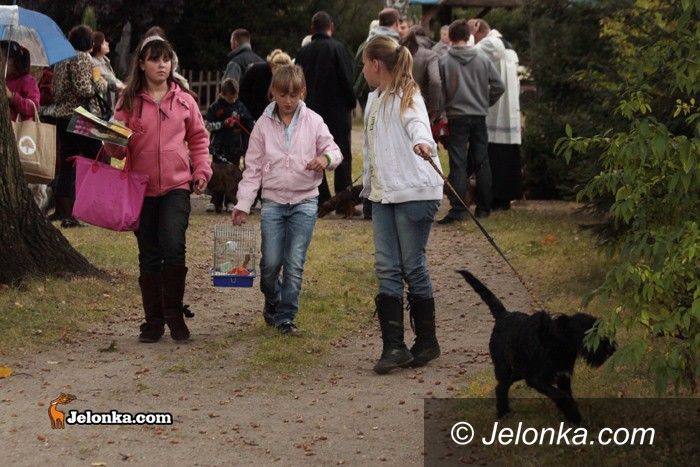 JELENIA GÓRA: Zwierzęta pod święconym prysznicem
