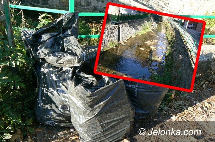 JELENIA GÓRA: Bez reakcji na brudasów