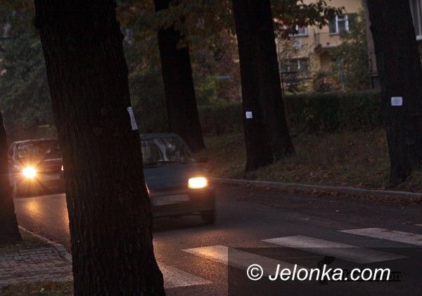 JELENIA GÓRA: Dęby czekają na ścięcie