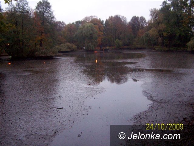 JELENIA GÓRA: Wędkarze posprzątali staw