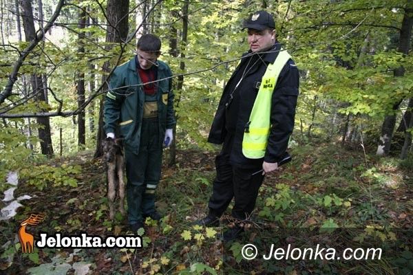 JELENIA GÓRA: Bestialsko powiesił psa