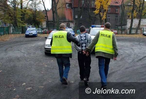 JELENIA GÓRA: Straszył i groził, bo potrącił mu psa