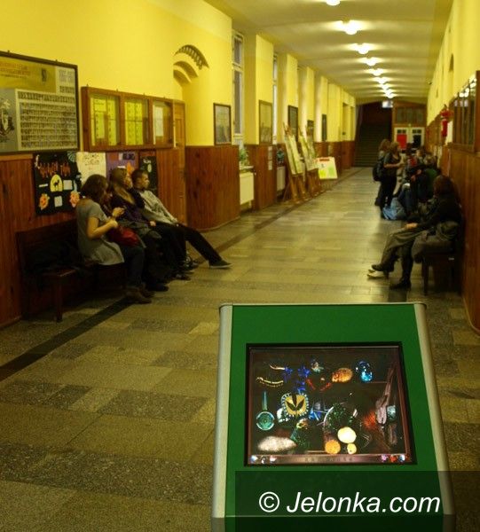 JELENIA GÓRA/ REGION: Młodzież z „Żeroma” bliżej natury