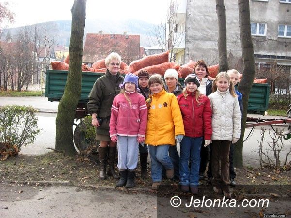 REGION: Bronią drzew przed groźnym pasożytem