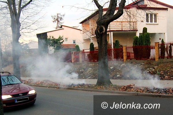 JELENIA GÓRA: Palisz liście, zapłacisz karę