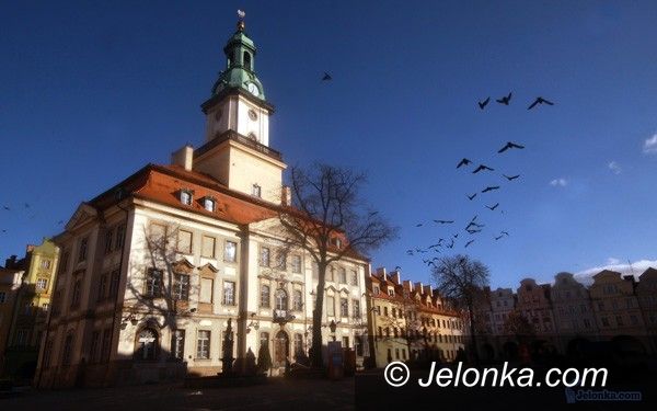 JELENIA GÓRA: Gdzie się podziały gołębie z Rynku?