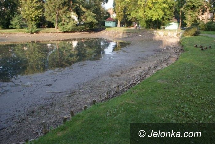 LWÓWEK ŚL.: Nowe oblicze parku w grodzie lwa