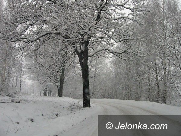 REGION: Wyciąć nie wyciąć, rozmawiać warto