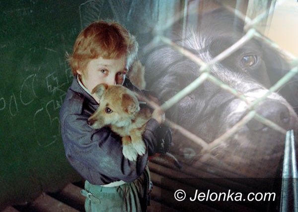 JELENIA GÓRA: Z psem na śmietnik