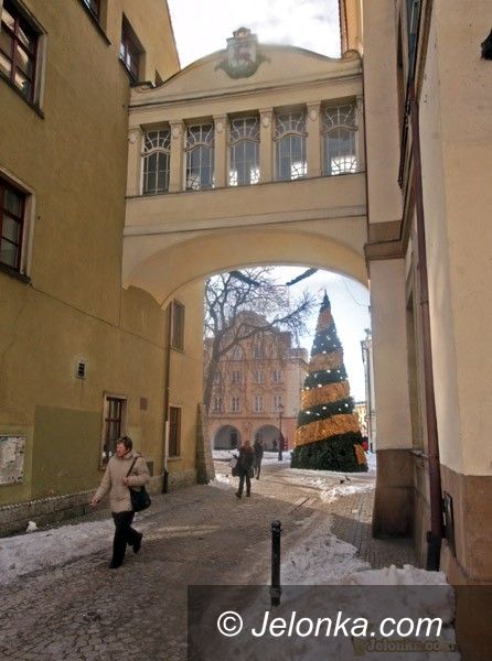 JELENIA GÓRA: Buszujący w choince