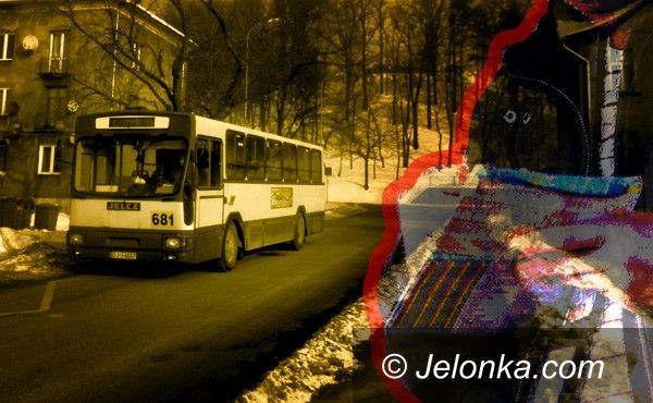 JELENIA GÓRA: W kleszczach kanara