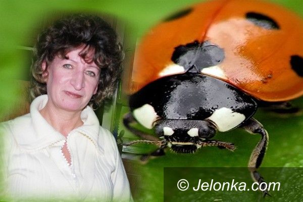 KOWARY: Ochroniarze zdeptali jej honor