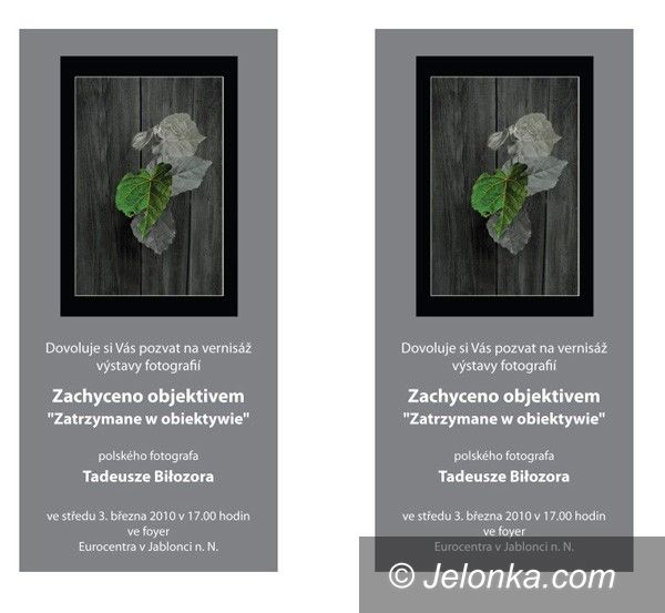 JABLONEC NAD NISOU: Nasz człowiek w Jabloncu