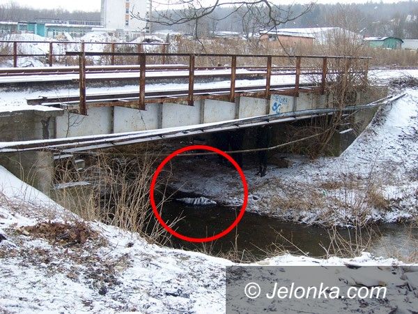 LWÓWEK ŚLĄSKI: Zwłoki w rzece