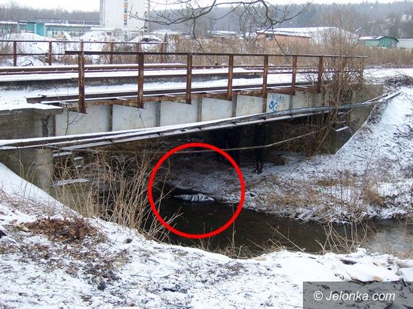 LWÓWEK ŚLĄSKI: Zwłoki w rzece