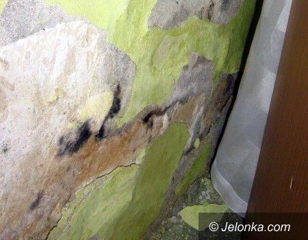 GRYFÓW: Walczą z wilgocią i urzędnikami