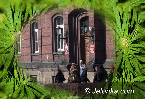 JELENIA GÓRA: "Zielarze" na ławie oskarżonych