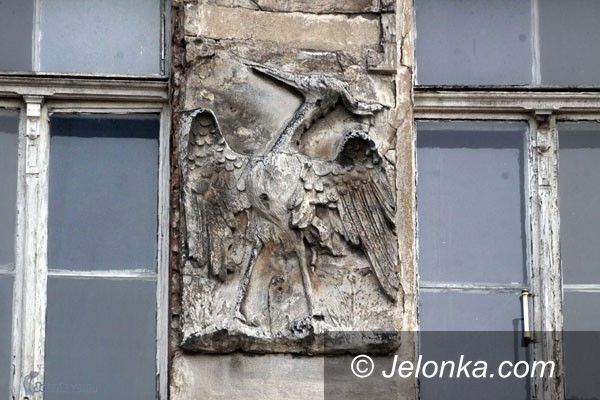 JELENIA GÓRA: A my mamy dwa pelikany