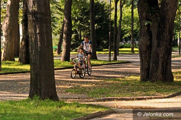 JELENIA GÓRA: W cieplickich parkach będzie piękniej