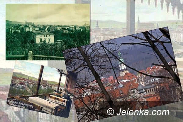 JELENIA GÓRA: Wielka wycinka!