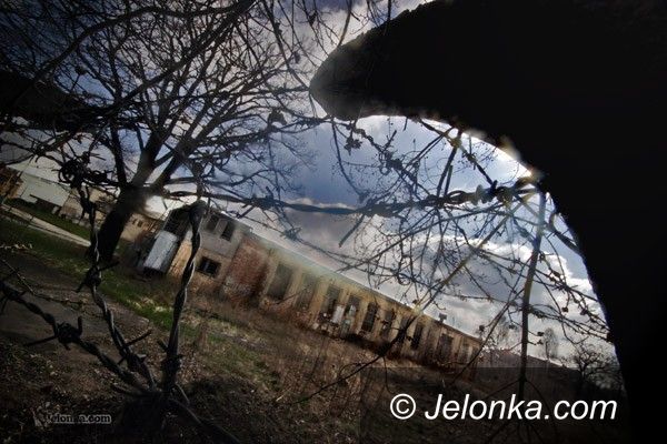 JELENIA GÓRA: Będzie termalnie i&#8230; tropikalnie
