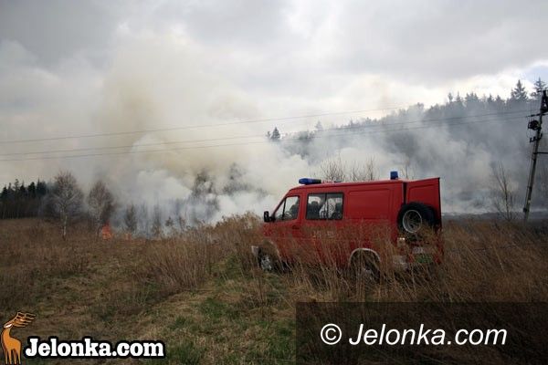 JELENIA GÓRA: Potężny pożar nieużytków
