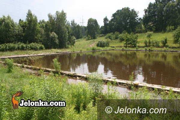 JELENIA GÓRA: Rakownica jak wrzód