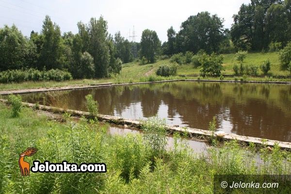 JELENIA GÓRA: Rakownica jak wrzód