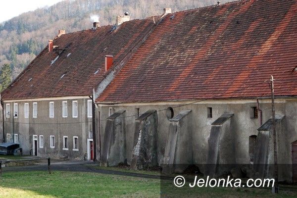 JELENIA GÓRA: Szaleją w byłym gospodarstwie