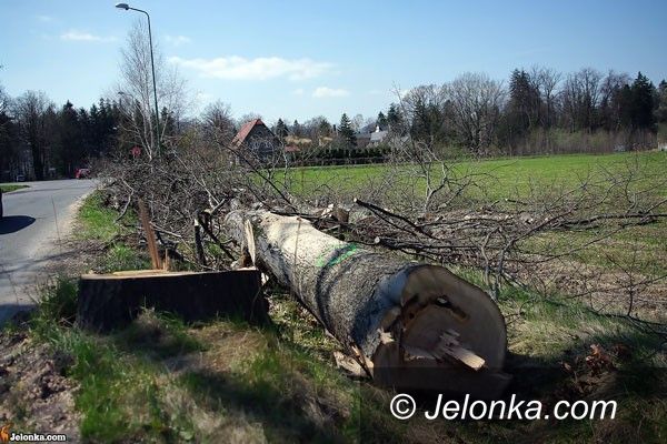 REGION: Pod topór dla bezpieczeństwa