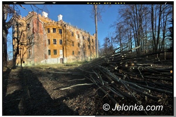 DOLNY ŚLĄSK: Książę Karol nie kupi pałaców