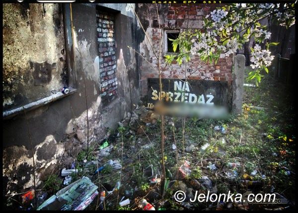 JELENIA GÓRA: MPGK będzie miało konkurenta?
