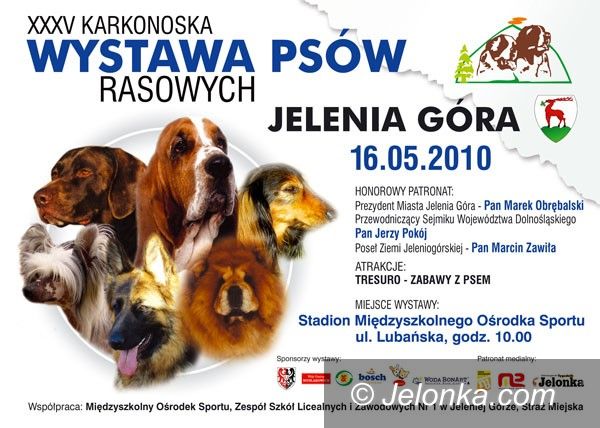 JELENIA GÓRA: Piękne rasy na Lubańskiej