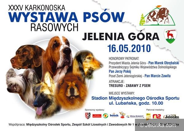 JELENIA GÓRA: Piękne rasy na Lubańskiej