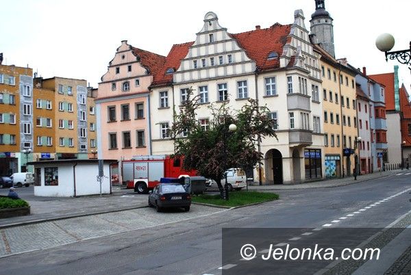 LWÓWEK ŚLĄSKI: Ratowali ptaka na koszt podatnika