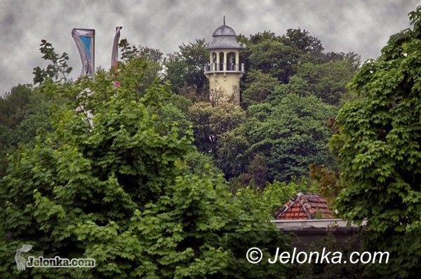 JELENIA GÓRA: Od jutra „grzybek” dla nas