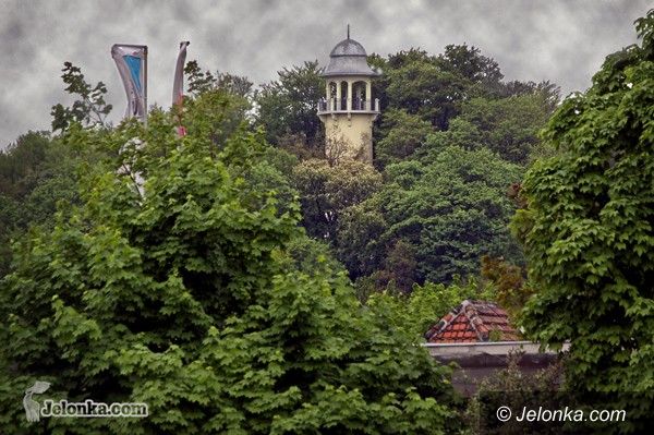 JELENIA GÓRA: Od jutra „grzybek” dla nas