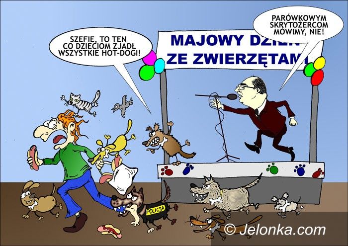JELENIA GÓRA: Majówka na wesoło