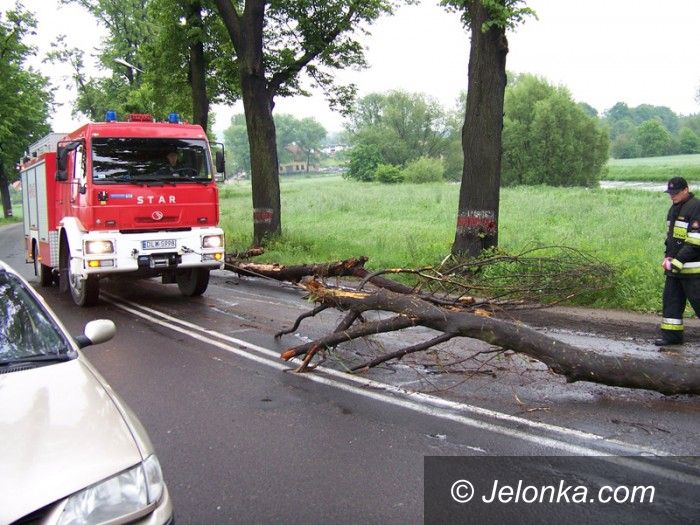 REGION: Pnie i gałęzie zatamowały nurt Bobru