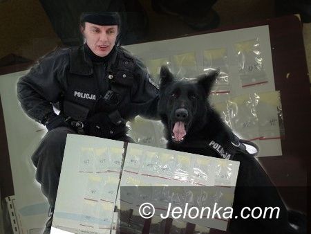 JELENIA GÓRA: Narkotyki i czujny nos owczarka