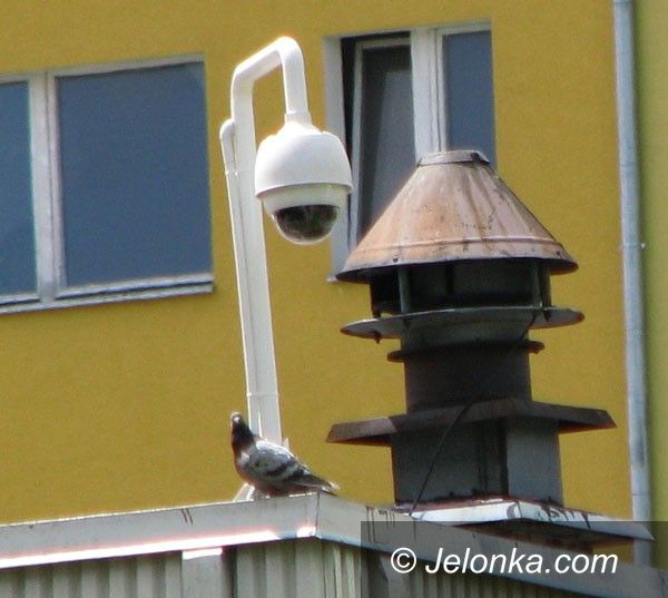 JELENIA GÓRA: Zabobrze kamerami lustrowane