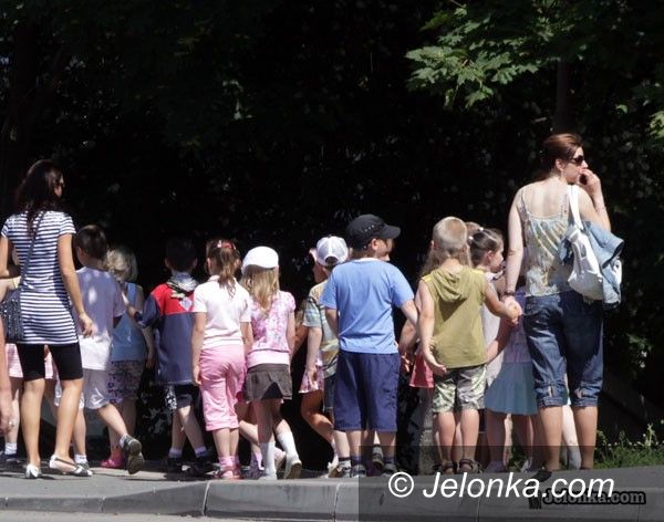 JELENIA GÓRA REGION: Kolonie pod lupą sanepidu