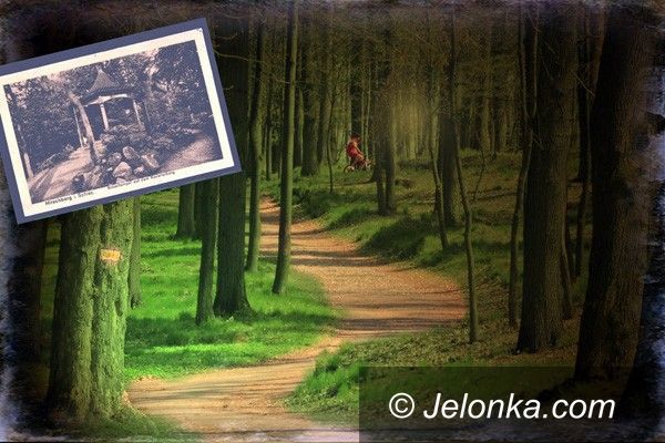 JELENIA GÓRA: Park na Wzgórzu Kościuszki do przebudowy